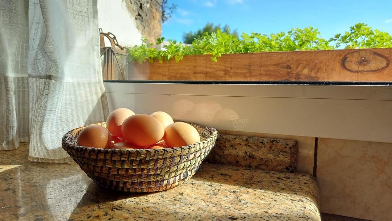 Casa Natura Ainhoa La Oliva Extérieur photo